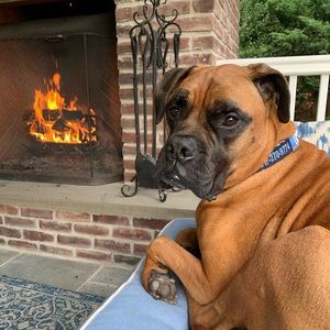 Meet your Posher, Glenn